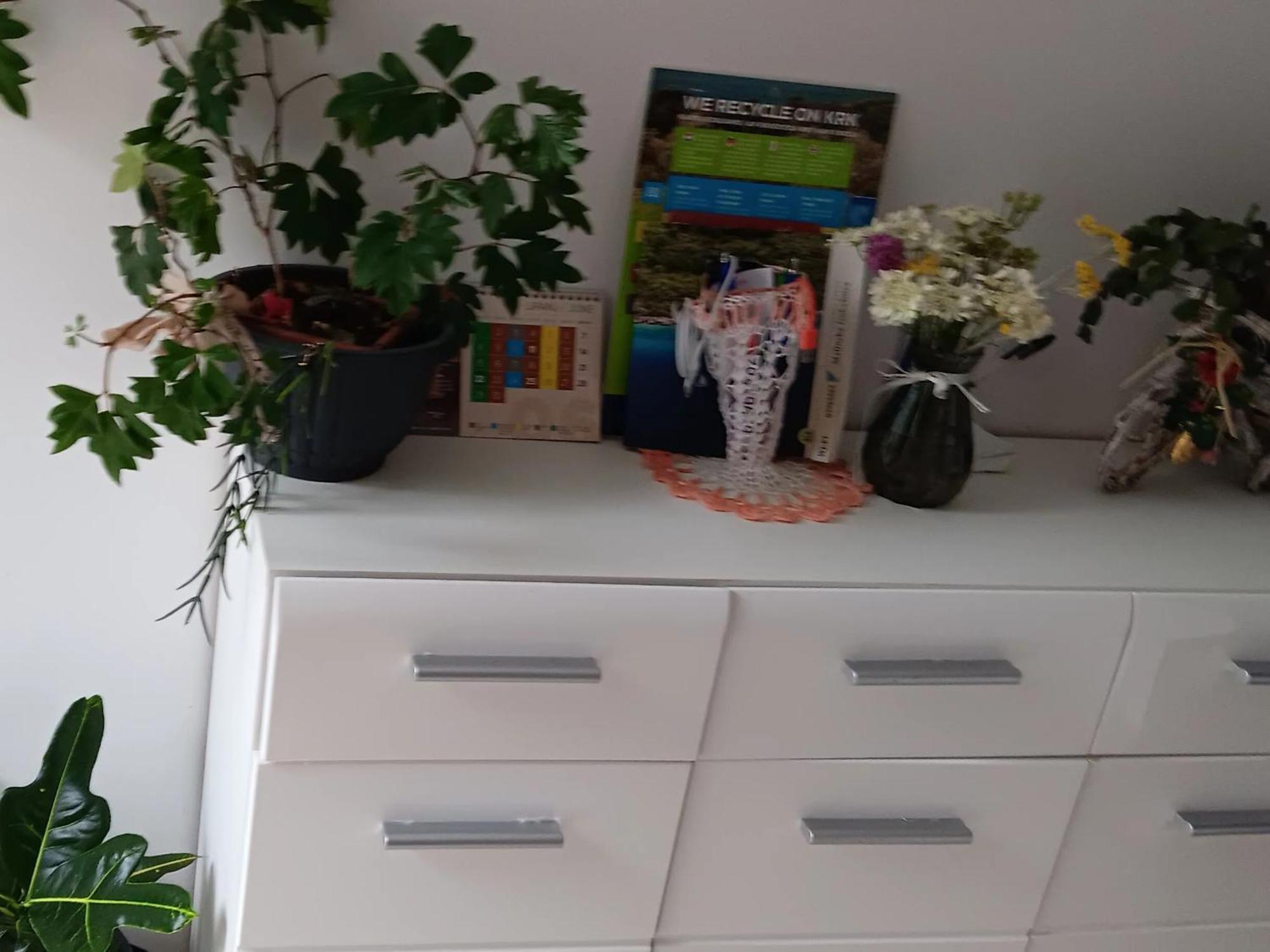 Iggy Apartment Malinska Room photo